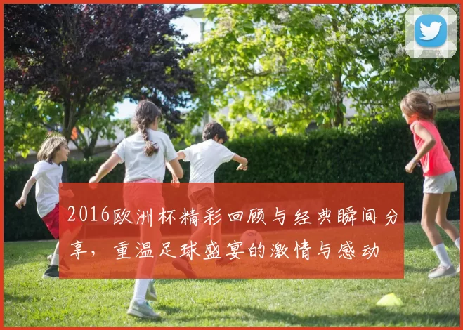 2016欧洲杯精彩回顾与经典瞬间分享，重温足球盛宴的激情与感动