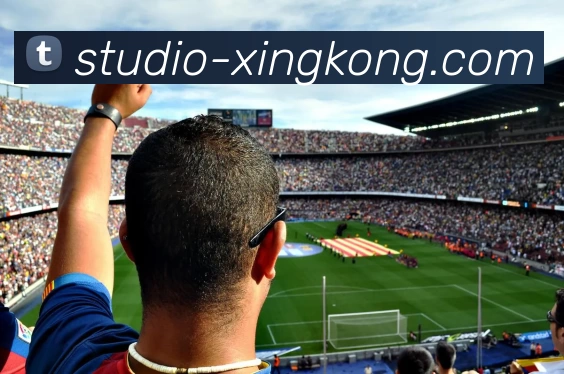 星空体育APP 高清赛事图